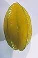 Carambola from www.photofruit.net
